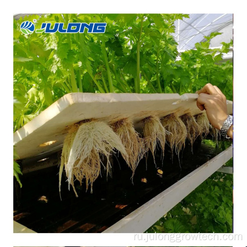 Высокая туннельная пленка мультипроблевая теплица для листовых овощей